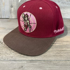 Mitchell & Ness Boston Celtics Brown Sugar Bacon 2.0 HWC Fitted Hat - Size 7 3/4