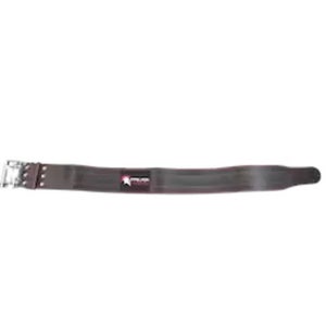 Dark Iron Fitness Weight Belt LG/XL 11443-S000170857