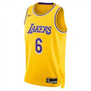 Nike LEBRON JAMES ICON SWINGMAN Los Angeles LAKERS Jersey Men's Brand New $120
