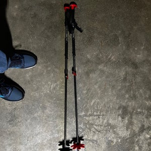 Black Diamond Alpine Touring Ski Poles (Used)
