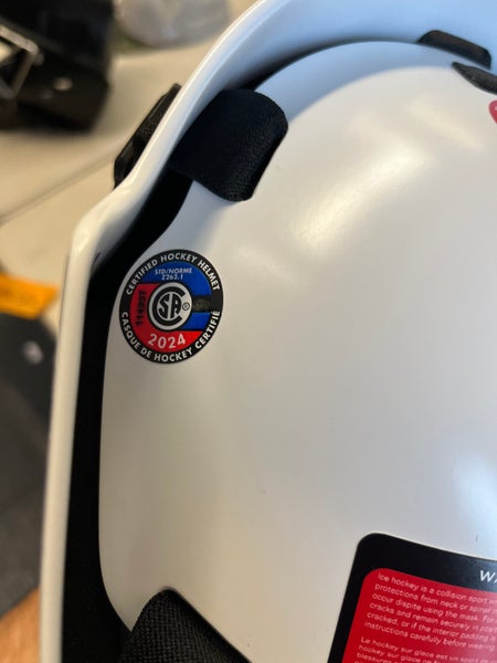 Apex goalie mask