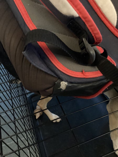 DeMarini Bat Pack (Used)