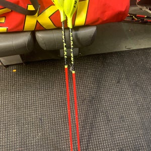 Leki World Cup Slalom Poles - 125