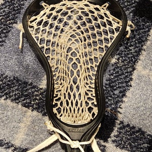Strung STX Stallion U 550 Head