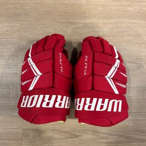 Red Warrior Alpha DX5 Gloves 10" (Used)