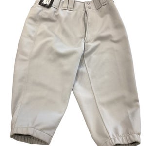 Used Mizuno GREY BASEBALL PANTS BB/SB Pant Mens Grey MD 11884-S000044617