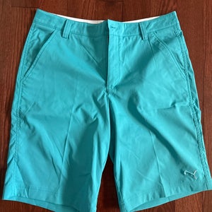 Blue Size 32 Men's Puma Shorts (Used)