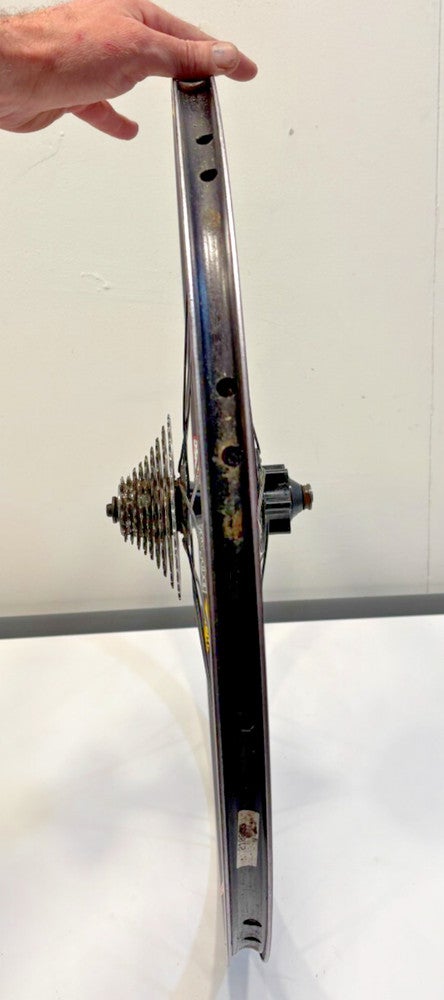 Rolf Dolomite 26” Front Disc Rim