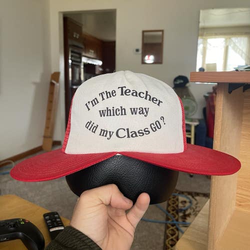 Vintage Double Bill Which Way Did They Go Funny Teacher Snapback Hat Cap Rare