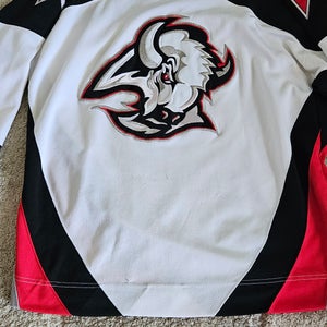 Vintage Buffalo Sabres Large Jersey (Used)