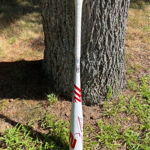 2024 Marucci Bat (-5) 25 oz 30" (Used)