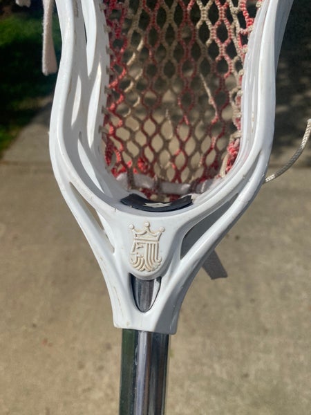 Adult Brine Strung Cyber Head (Used)