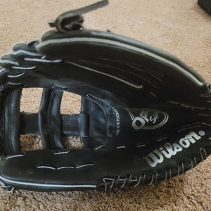Easton Bat (-11) 19 oz 30" and Wilson Glove