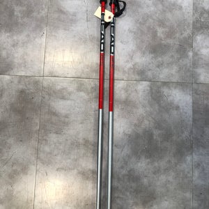 40in (100cm) HEAD All Mountain Ski Poles (Used)