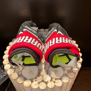Warrior Alpha LX2 Gloves 10"  (New)