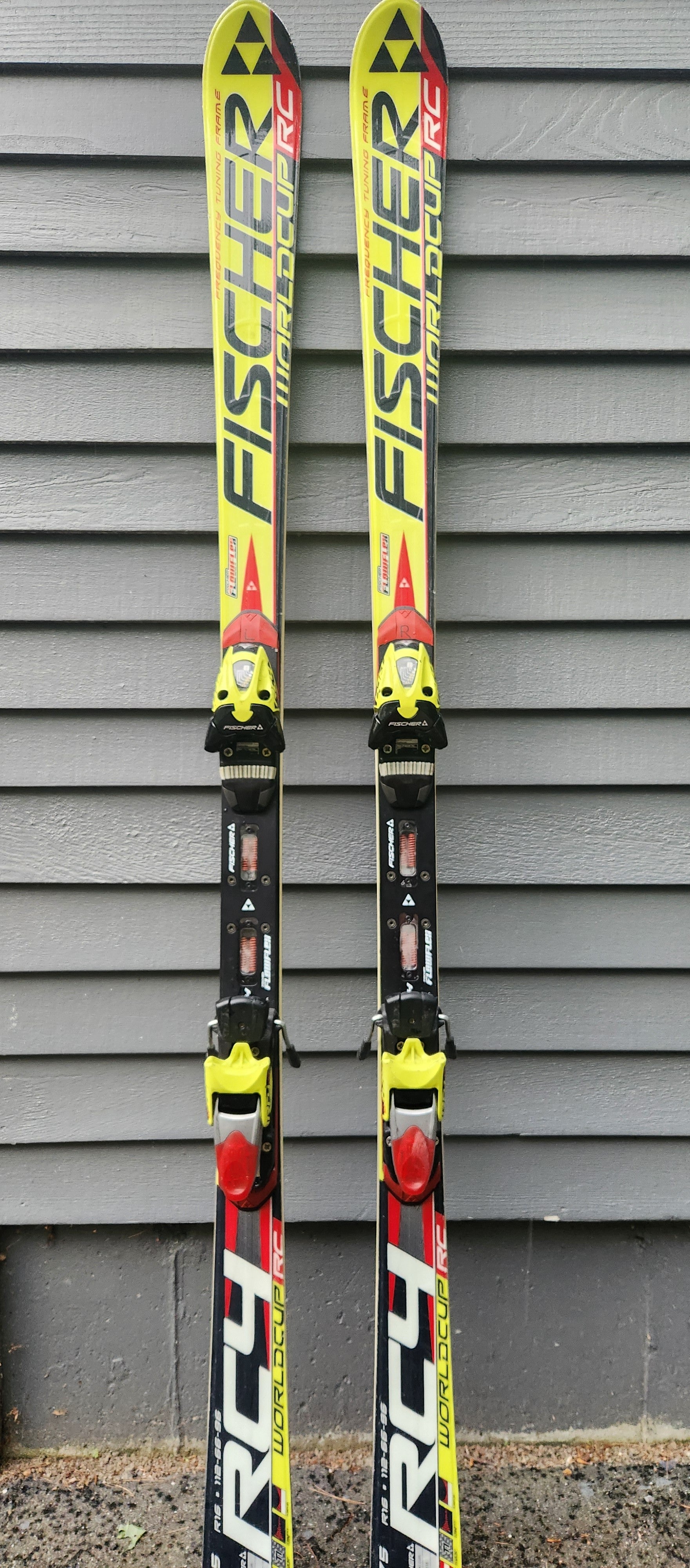 Men's Racing 175 cm Fischer RC4 World Cup GS Skis With Bindings