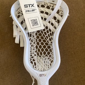 STX Strung Stallion 1K Head (New)