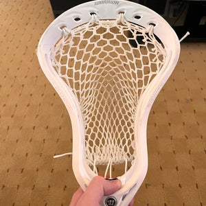 Adult Warrior Strung Evo QX-D Head (New)