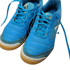 Used Puma Soccer Indoor Shoes Royal Blue Senior 6.5 11497-C000145148