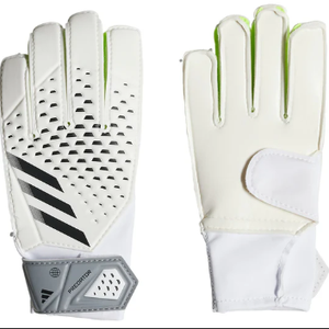 New Goalie Gloves