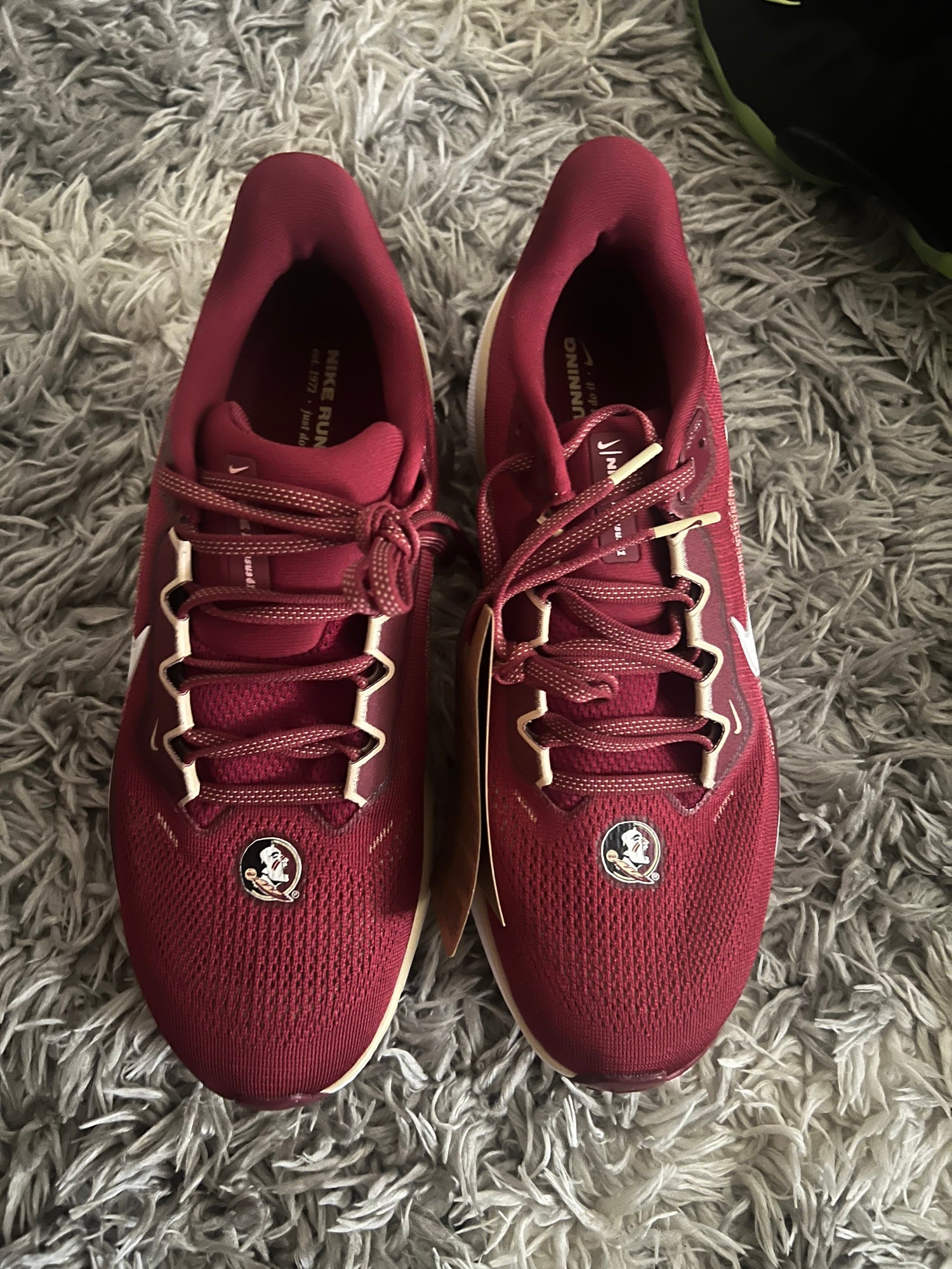nike fsu pegasus 37 shoes