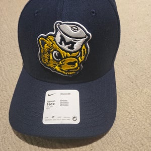 Blue Men's Medium/Large Nike Hat (New)