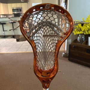 Adult Gait Strung Head (Used)