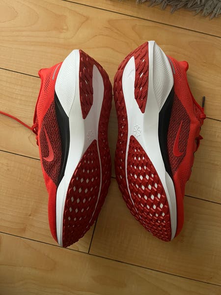 Nike Air Zoom Pegasus 41 Georgia Bulldogs Shoes FZ5115-600  display picture 1