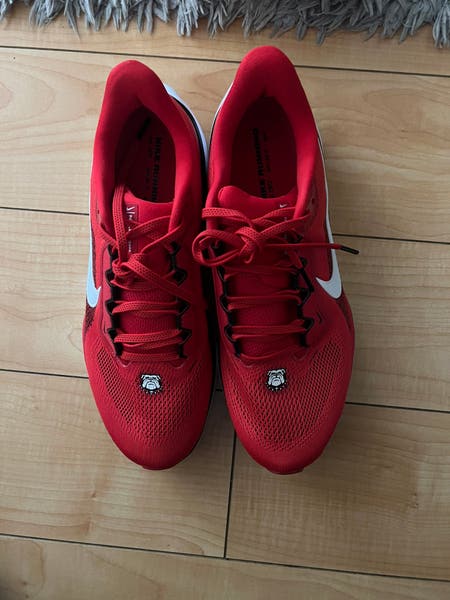Nike Air Zoom Pegasus 41 Georgia Bulldogs Shoes FZ5115-600  display picture 1