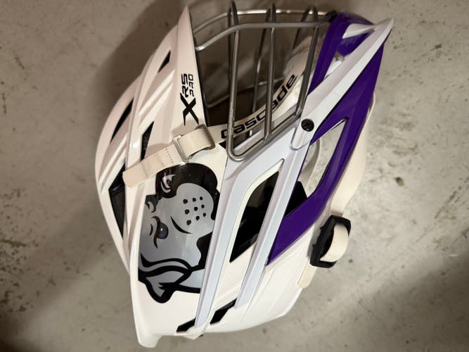 Philadelphia Waterdogs Helmet