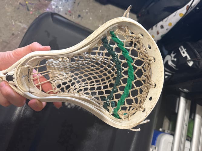 Adult Brine Strung Clutch Elite X Head (Used)