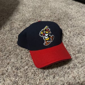 Blue Men's Large/Extra Large Toledo Mudhens Hat (Used)