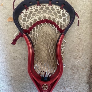 Adult Warrior Strung Evo QX-O Head (Used)