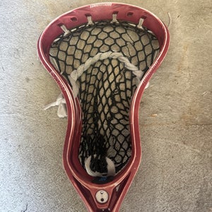 Adult Warrior Strung Evo QX-O Head (Used)