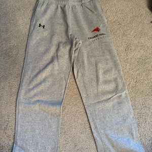 Gray Large Men's Under Armour Pants (Used)