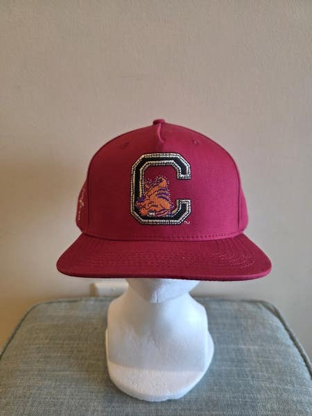 NWS Clemson Tigers Mitchell & Ness Cactus Jack Snapback Hat NCAA |  SidelineSwap | Buy and Sell on SidelineSwap