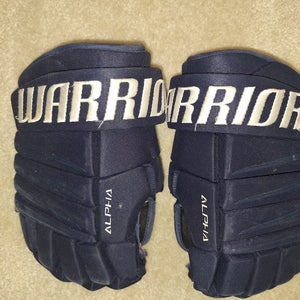 Warrior Alpha Gloves 14" (Used)