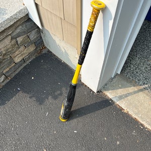 Easton Bat (-13) 17 oz 30" (Used)