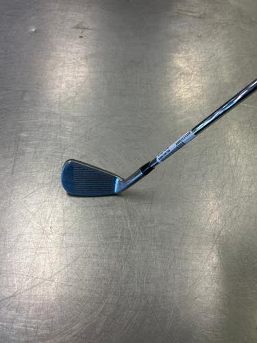 Hippo (Used) Right Handed Men's Regular Flex Steel Shaft Iron Set