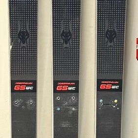 2023 Nordica 196 cm Dobermann GS WC Skis Without Bindings (Used)