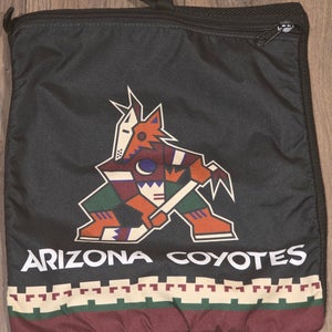 Arizona Coyotes Hockey Utah Mammoth Hockey Club Pro Stock Helmet Bag