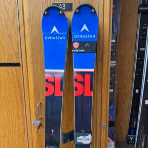 Dynastar 157 cm Racing Speed WC FIS SL Skis Without Bindings (Used)
