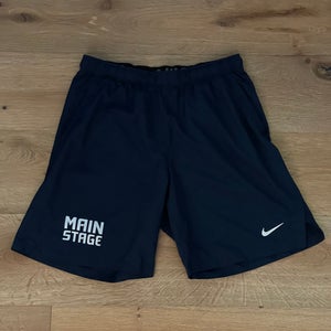 Main Stage Nike Shorts - Large (New)