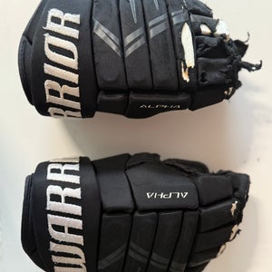Warrior Gloves 15" (Used)