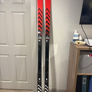 Men's 2023 Race Room Volkl 193 cm Racing Racetiger GS Skis Without Bindings (Used)