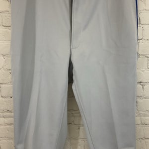 Mizuno 350409 Adult Polyester Short Baseball Pants Grey Royal Blue L Large