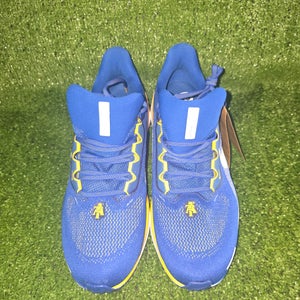 Nike North Carolina A&T Pegasus 41