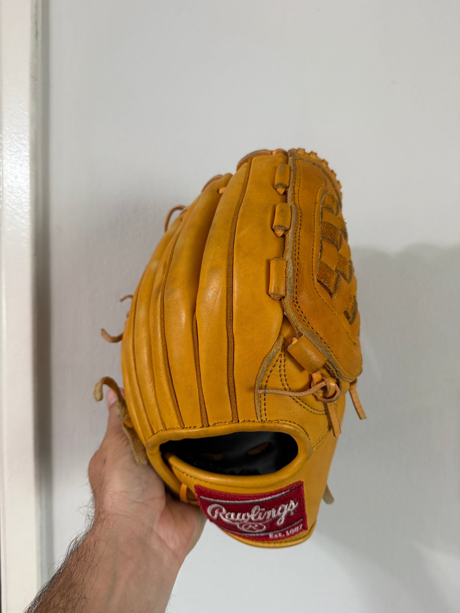 Rawlings Glove Made | (ローリングス) Robert Luis Baseball CAPTURED 