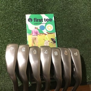 Mizuno JPX EZ Irons Set (4-PW) Regular R300 True Temper XP 105 Steel Shafts