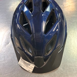 Schwinn (Used) Large Bike Helmet